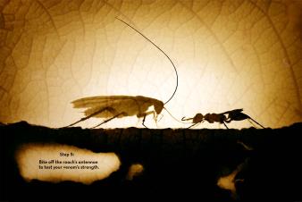 Paso 5: De un mordisco, quítale las antenas a la cucaracha para probar la fuerza de tu veneno.