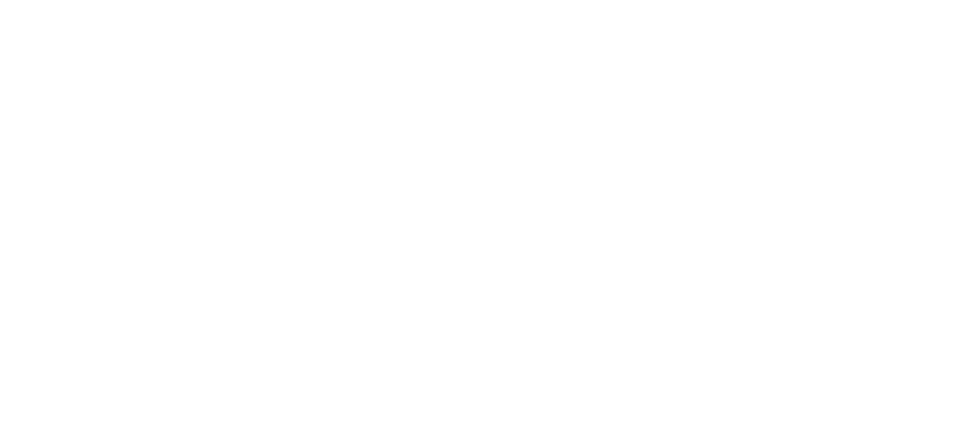Perot Museum Logo